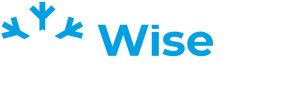 WiseLog_LOGO_zródło_AI-_1__1-295